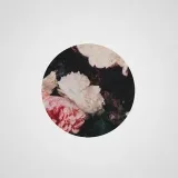 Floralism- floral aesthetic