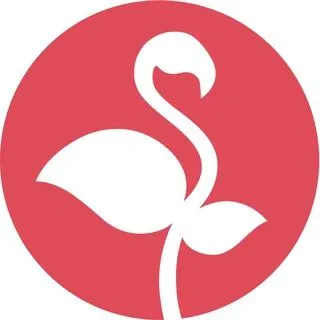 Flowingo club - цветы с доставкой