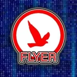 FLYER - Software and games for PC