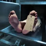 Forensic Pathologist - судебная патология
