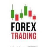 Forex Trading - Planes de negocio.