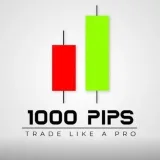 1000 PIPS BULLDERS - Señales Forex.