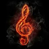 The music collection - песни
