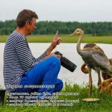 Free Biologist - исследования природы