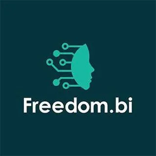 Freedom.bi - цифровизация бизнеса
