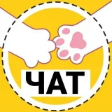 Freelancers chat - vacancies