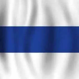 Free Russia Report - отчеты