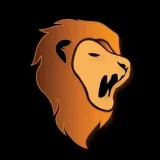 Forex Trading Lions - торговля на Forex