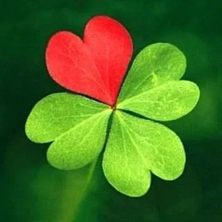 Friendly Ireland - Ирландия