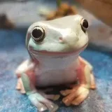 Ranas Ranas Ranas Ranas - Ranas.
