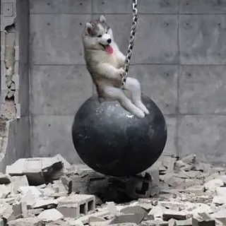 Funny videos & pictures - юмор и мемы