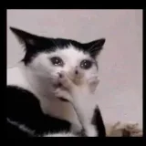 Funny Hub - humor adulto
