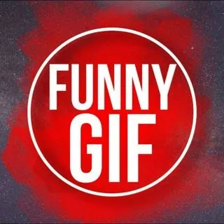 Funny Gif - топовый юмор