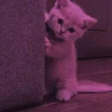 Funny Gram - Смешные видео