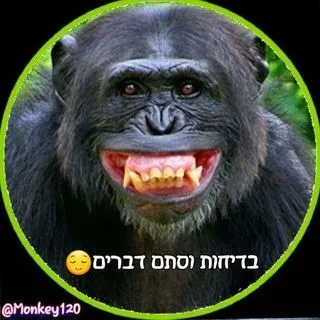בדיחות וסתם דברים מגניבים | Шутки и приколы