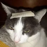 Furious News - свежие новости