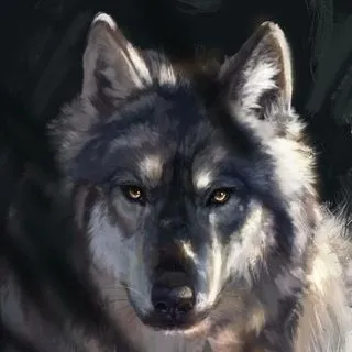 Furpics SFW - Изображения