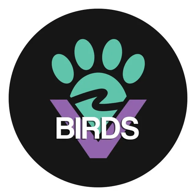 Furry Valley.Birds- furry birds.