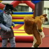 Fursuit gifs- costume gifs