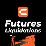 Futures Liquidations-Binance ByBit