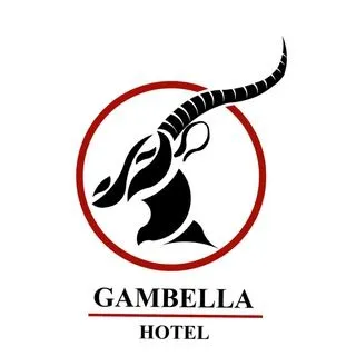 Gambella Hotel - Отель Аддис-Абеба