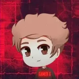 Gamer x - Actualizar cuentas
