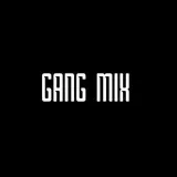 Gang Mix - ганг-миксы