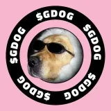 GDOGSOlanaMeme es un meme perro