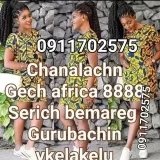 GechAfrica8888 - chat africano