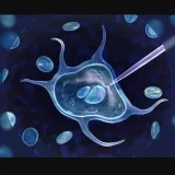 Genetic Engineeringscience