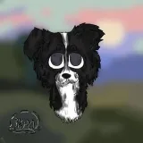 𝑩𝒐𝒓𝒅𝒆𝒓 𝑳𝒆𝒐 - Bonito perro.