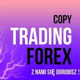 Giełda na wesoło FOREX - fun forex
