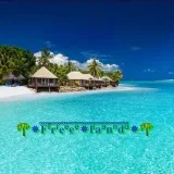 Freeeland - graciosoGIF