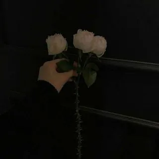 Mr Feeling - эмоции