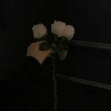 Mr Feeling - эмоции