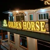 Golden Horse - golden horse.