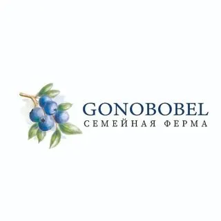 Gonobobel_farm - ферма черники