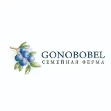 Gonobobel_farm - blueberry farm