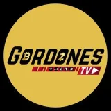 gordonesTV - FinTech новости