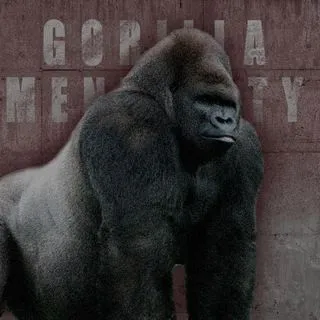 GORILLA MENTALITY - менталитет победителя