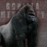 GORILLA MENTALITY- winner's mentality