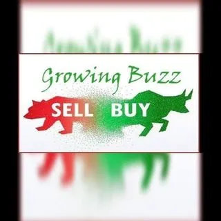Growing Buzz - инвестиции и акции