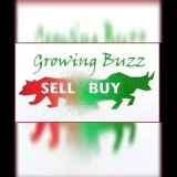Growing Buzz - investments and shares