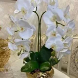 Flowers - декоративные растения и подарки