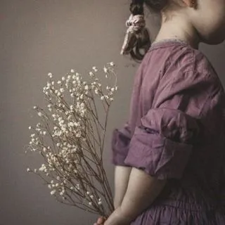 Gypsophila - нежная эстетика