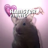 hámster_Vinnie - la vida del hámster