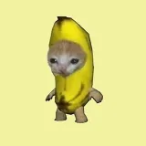 HappyCat - мемы и юмор