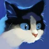 HaveCats - котики ежедневно