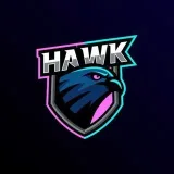 HAWK- Esports team.