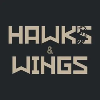 HAWKS AND WINGS - баскетбол WNBA